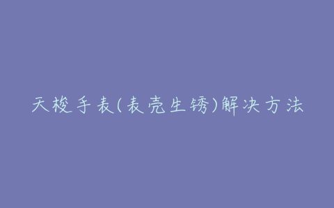 天梭手表(表壳生锈)解决方法